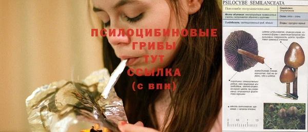 apvp Абдулино
